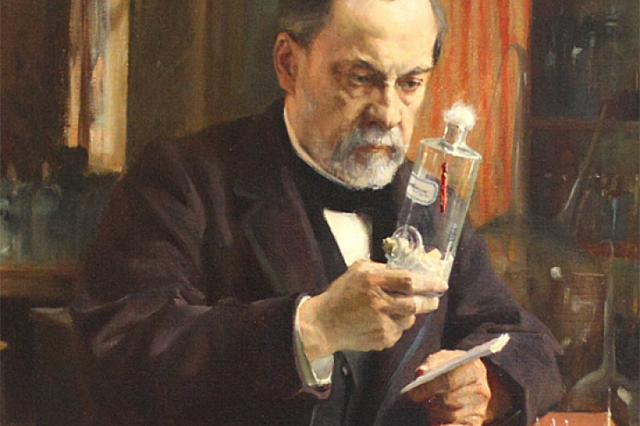 Vacunación antirrábica (Pasteur)