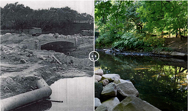 Bronx River Restoration is formed
