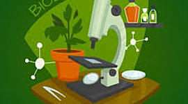 Timeline: línea de tiempo cuarto periodo