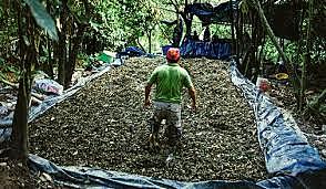 Oficialmente la cocaina es una droga