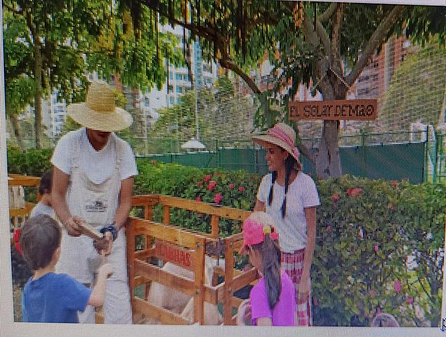 The  visit to the thematic's park