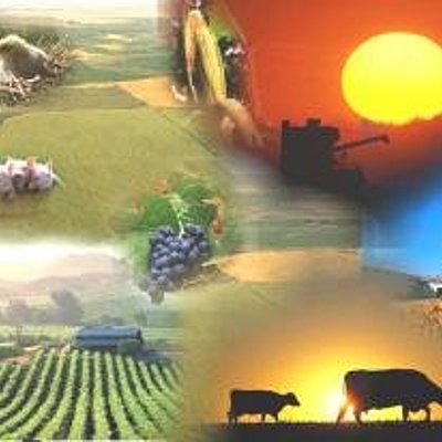 Timeline: PRINCIPALES ACTIVIDADES ECONÓMICAS (XV-XVIII)