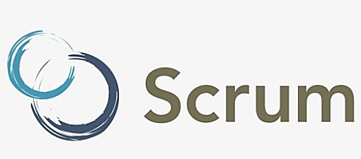 Se nombra a SCRUM como un nuevo estilo de administración de proyectos
