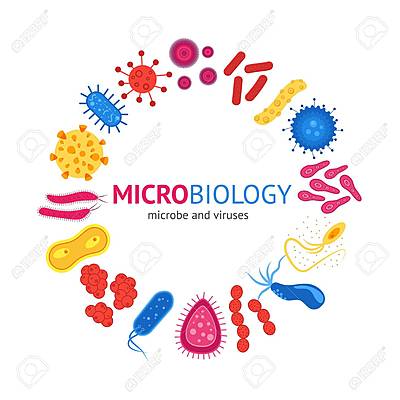 Timeline: Historia de la Microbiologia
