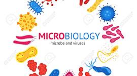 Timeline: Historia de la Microbiologia