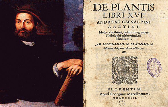 De plantes (Andrea Cesalpino)