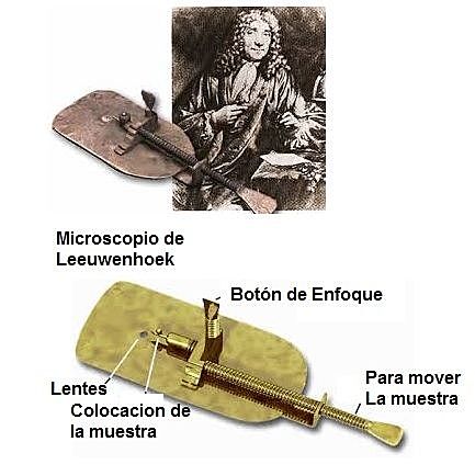 Antoni van Leeuwenhoek (1632-1723)