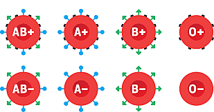 grupos sanguíneos (Karl Landsteiner)