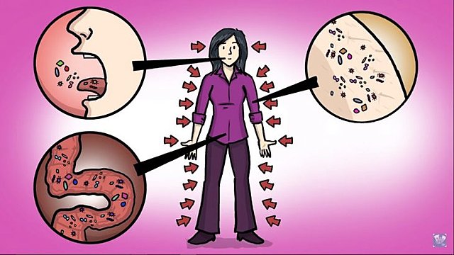 Proyecto Microbioma Humano