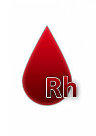 descubrieron el Rh (landsteiner y wiener)