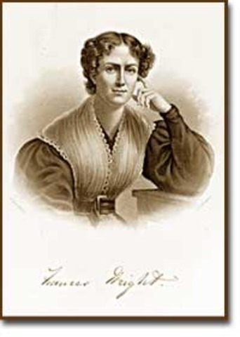 A white mans democracy