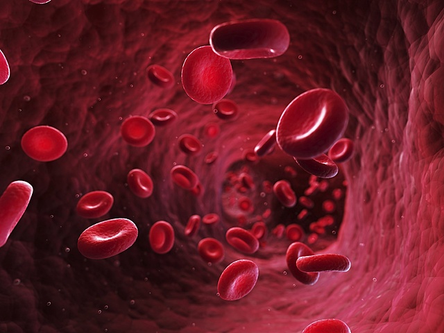 Marcello Malpighi observo el paso de la sangre a través de los capilares