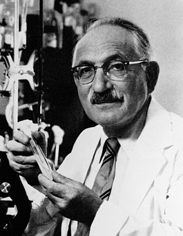 Estreptomicina (Selman Waksman)