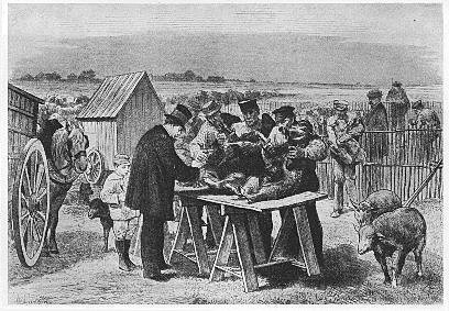 Pasteur replico su experimento del carbunco