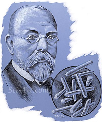 Mycobacterium Tuberculosis - Robert Koch