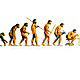 Evolució home