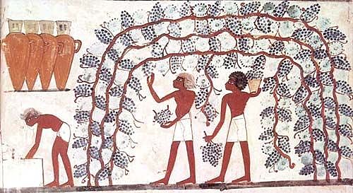 Documentación de Egipto.