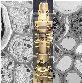 Microscopio electrónico - Ernst August Friedrich Ruska