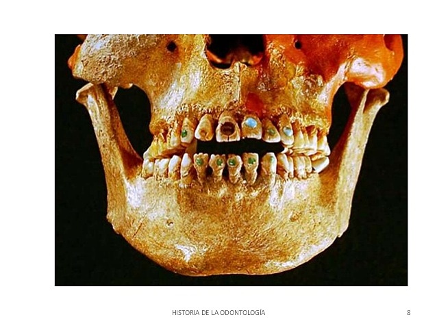 calavera con incrustaciones