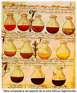 Primeros exámenes de Orina