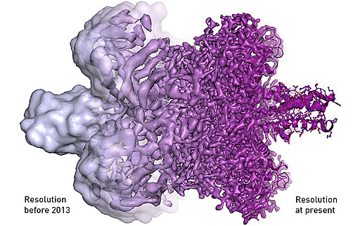 Criomicroscopía electrónica