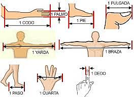 UNIDADES ANTROPOMORFICAS