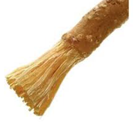 Primer cepillo de dientes