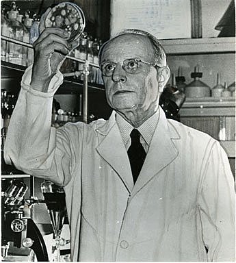 Descubrimiento de Dimetilclotetraciclina