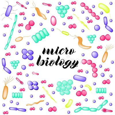 Timeline: Antecedentes Históricos de la Microbiología