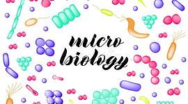 Timeline: Antecedentes Históricos de la Microbiología