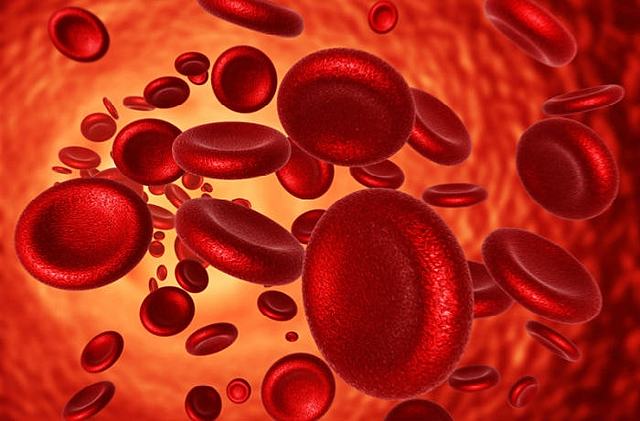 Objavené základné krvné skupiny