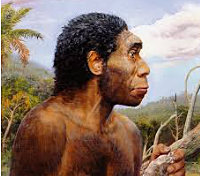 Aparició dels mamífers