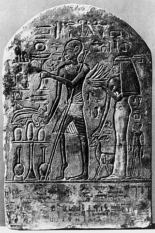 Descripción de Enfermedades en Egipto