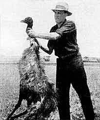 Australia Loses the Emu War