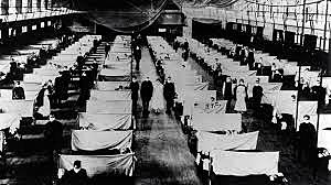 the Spanish flu