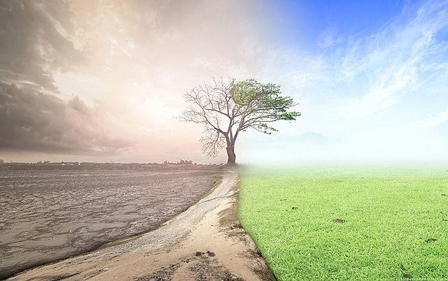 Proteger la naturaleza y el clima