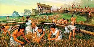 Descobriment de la ramaderia i agricultura (9.000 a.c.)