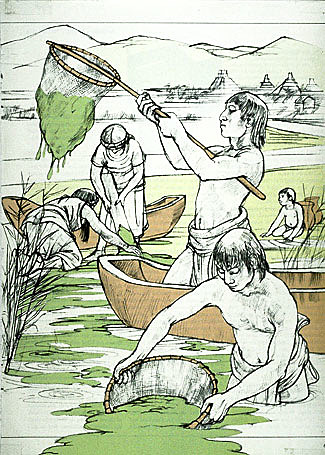 Tenochtitlan y la Espirulina