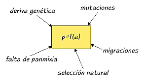 El matemático Hardy y el médico alemán Weinberg