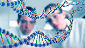 Investigación genética