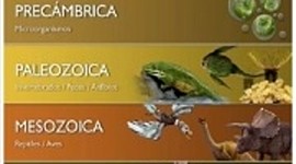 Timeline: Eras geológicas del mundo