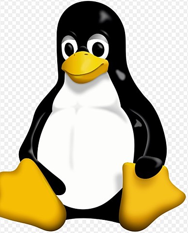 Nace Linux