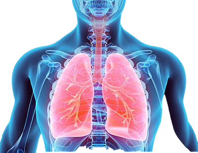 SEMANA 2 Segunda Sesion