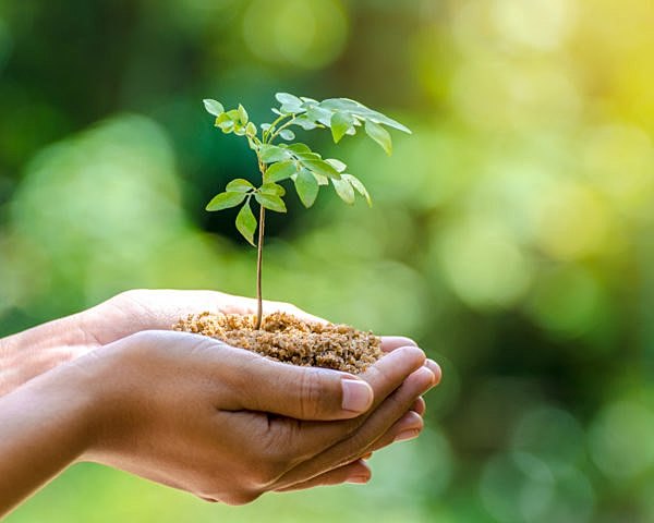 Programa de accion medio ambiental de la UE