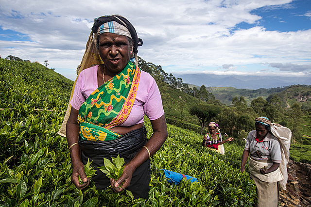 Primer programa de desarrollo rural.