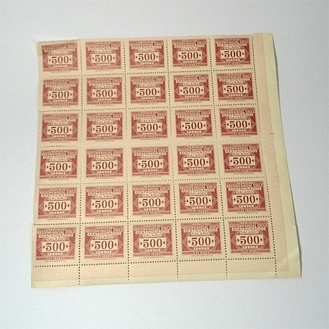 servicio del seguro social