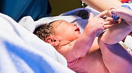 Timeline: proyecto de vida