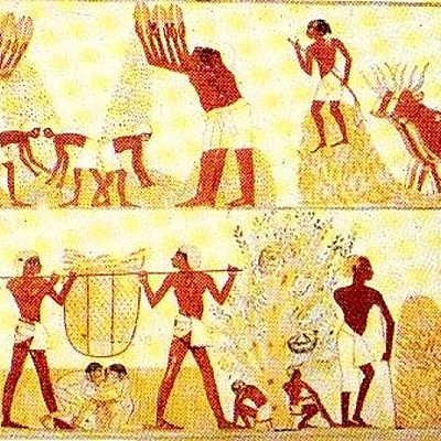 Timeline: Origen y evolución de alimentos y bebidas