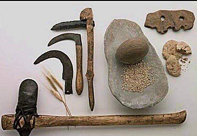 Instrumentos para caza y recoleccion