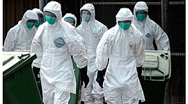 Timeline: compotamientos y cambios durante la pandemia